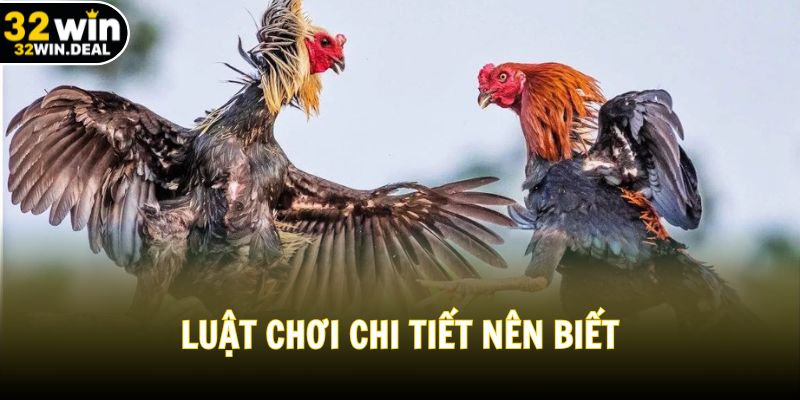 Luật chơi chi tiết nên biết