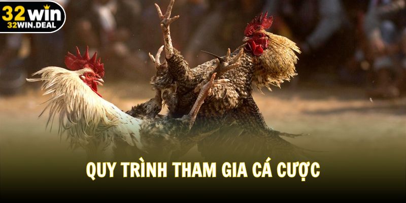 Quy trình tham gia cá cược