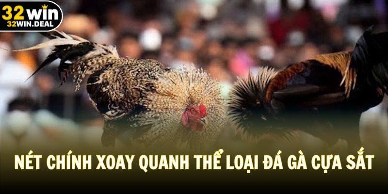 Nét chính xoay quanh thể loại đá gà cựa sắt